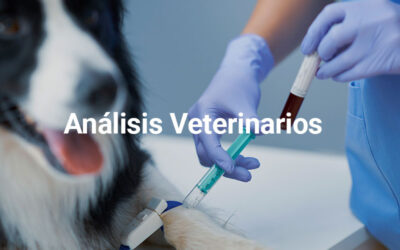 Rapela obtuvo la Certificación de Aptitud en Ensayos de Laboratorio 2025 otorgada por Controllab