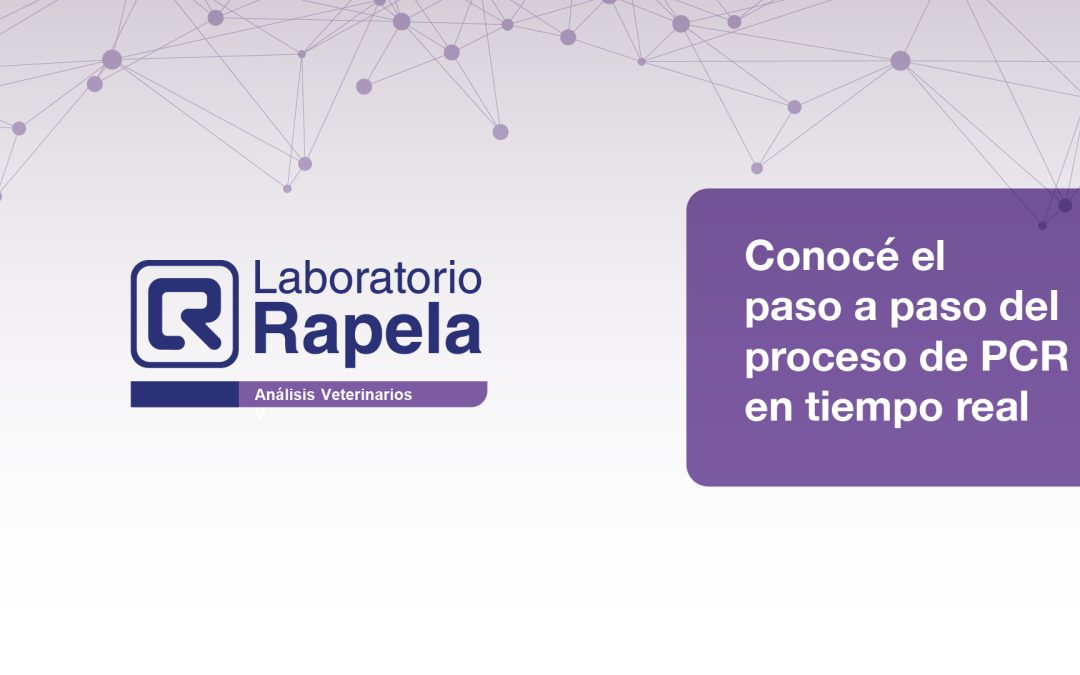 ¿Sabías que también recibimos muestras en papel secante desde cualquier parte del mundo?
