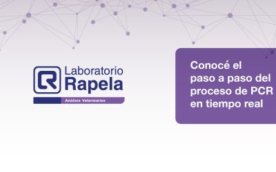 ¿Sabías que también realizamos envío de muestras en papel secante desde cualquier parte del mundo?